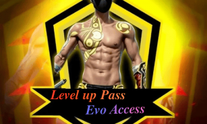 FF Level Up Pass & Evo Access [ Bd Server ]